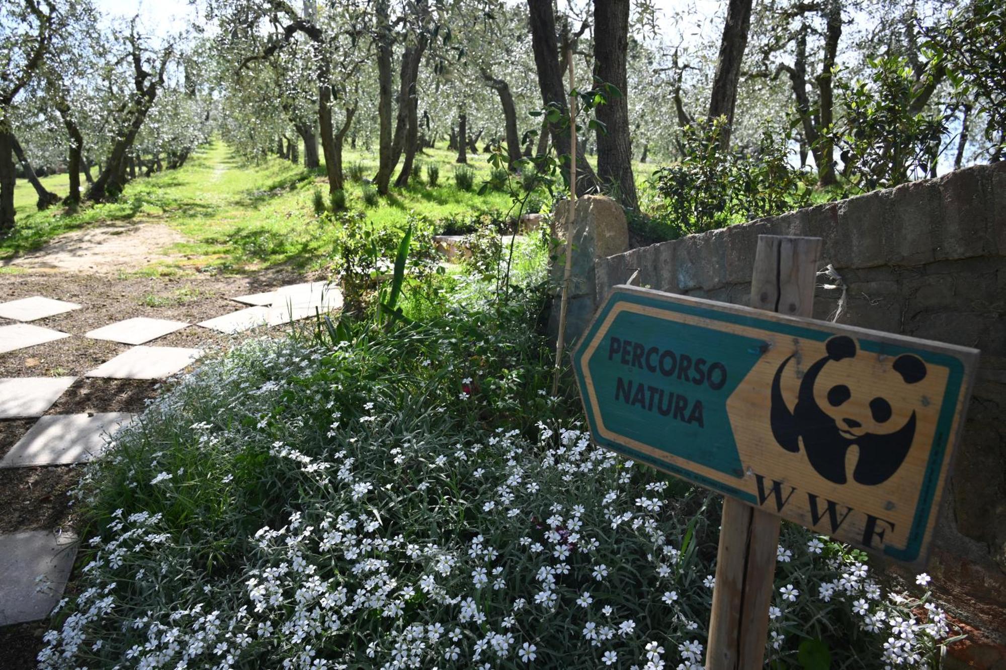 Mikipongtwo Villa Montepulciano Stazione Dış mekan fotoğraf