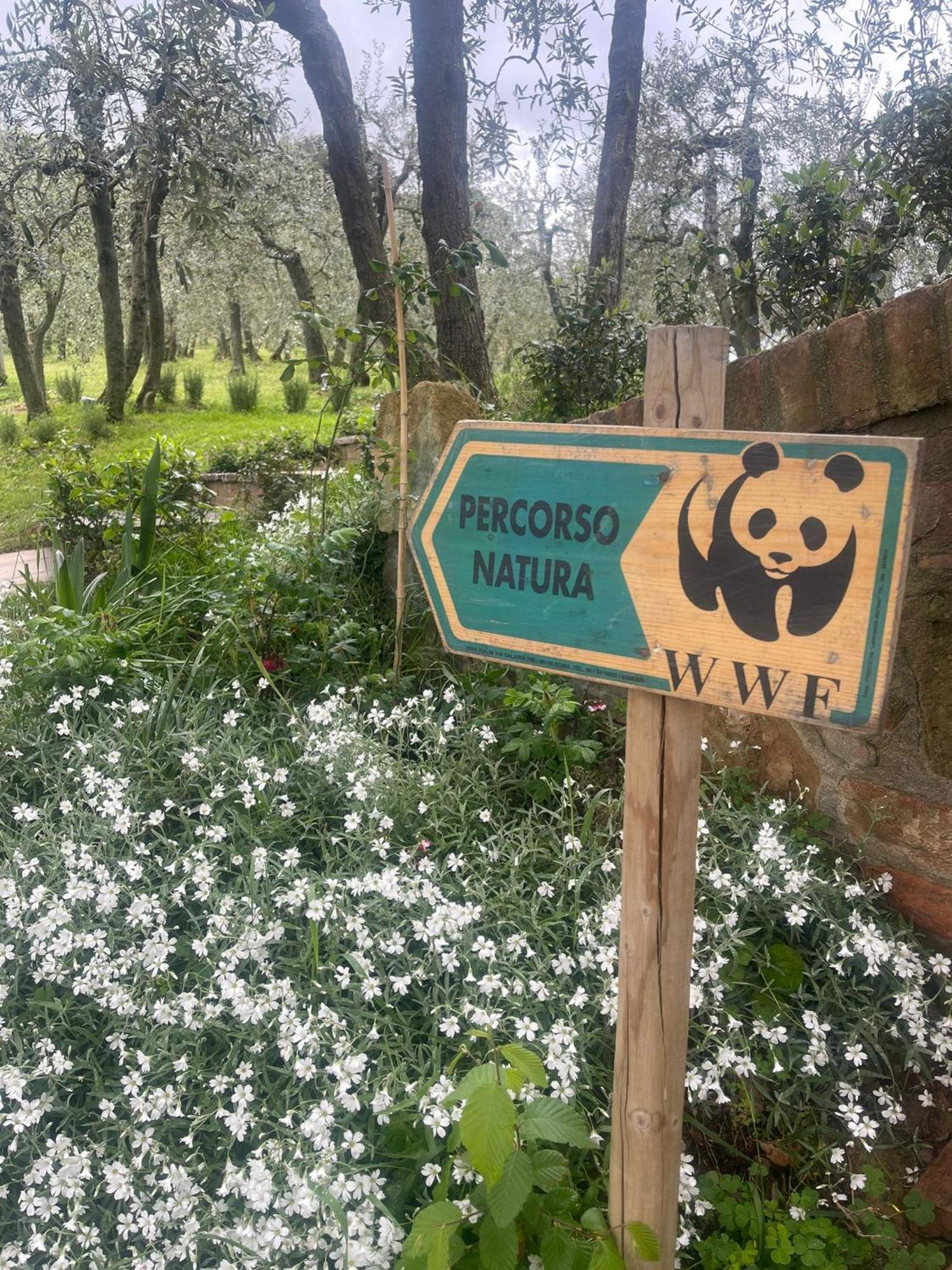 Mikipongtwo Villa Montepulciano Stazione Dış mekan fotoğraf
